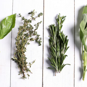 Herbes aromatiques